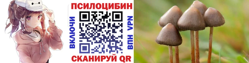 Псилоцибиновые грибы прущие грибы  Асино 