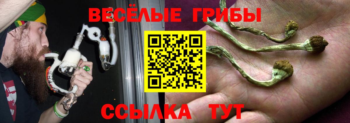 Псилоцибиновые грибы прущие грибы  Асино 